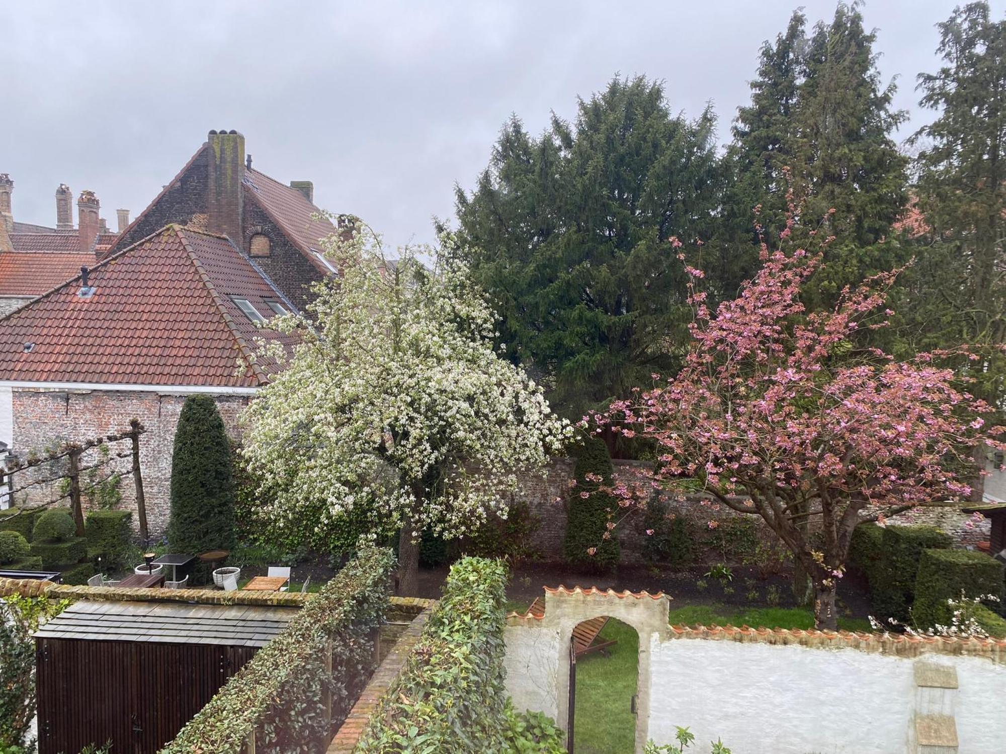 Residence9Bruges Exterior foto